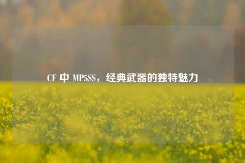 CF 中 MP5SS,经典武器的独特魅力