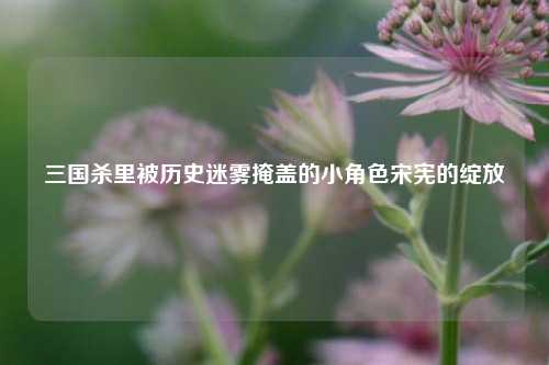 三国杀里被历史迷雾掩盖的小角色宋宪的绽放