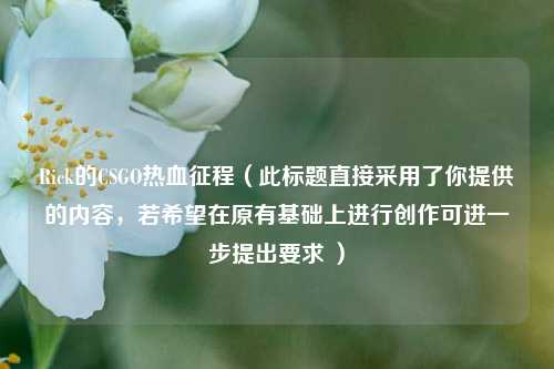 Rick的CSGO热血征程(此标题直接采用了你提供的内容,若希望在原有基础上进行创作可进一步提出要求 )