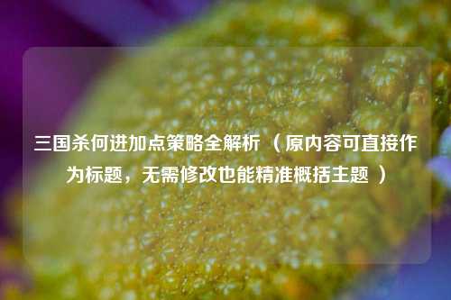 三国杀何进加点策略全解析 (原内容可直接作为标题,无需修改也能精准概括主题 )