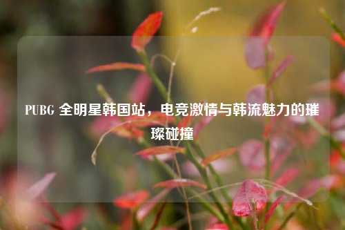 PUBG 全明星韩国站,电竞***与韩流魅力的璀璨碰撞