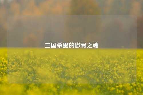 三国杀里的傲骨之魂