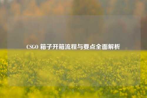 CSGO 箱子开箱流程与要点全面解析