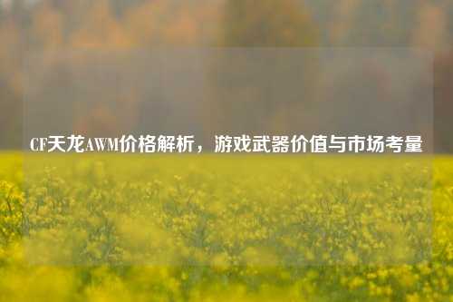 CF天龙AWM价格解析,游戏武器价值与市场考量