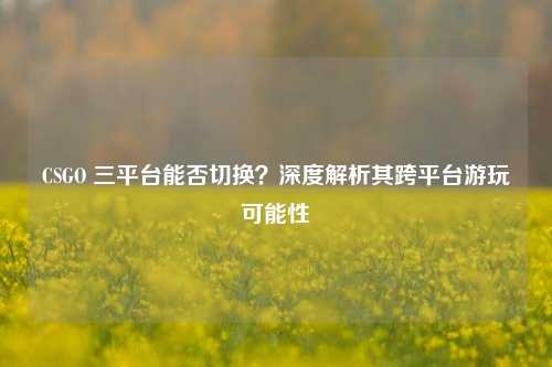 CSGO 三平台能否切换?深度解析其跨平台游玩可能性