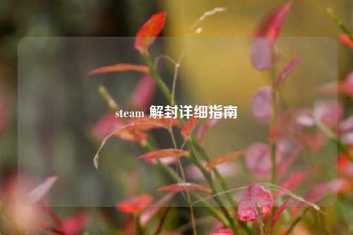 steam 解封详细指南