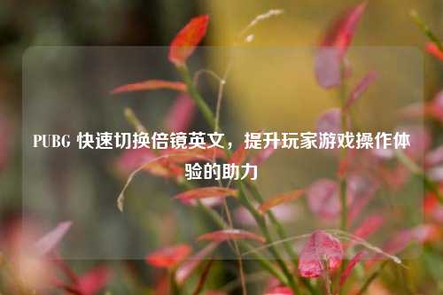PUBG 快速切换倍镜英文,提升玩家游戏操作体验的助力