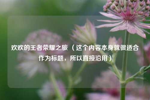 欢欢的王者荣耀之旅 (这个内容本身就很适合作为标题,所以直接沿用)
