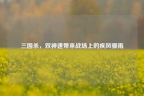 三国杀,双神速带来战场上的疾风骤雨