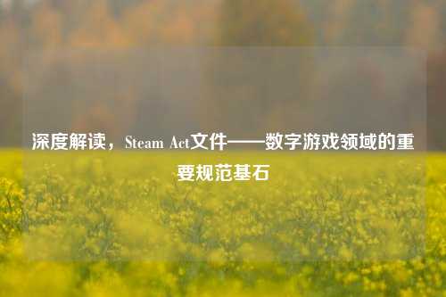 深度解读,Steam Act文件——数字游戏领域的重要规范基石