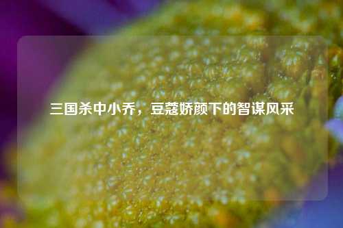 三国杀中小乔,豆蔻娇颜下的智谋风采