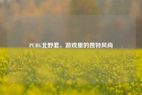 PUBG北野套,游戏里的独特风尚