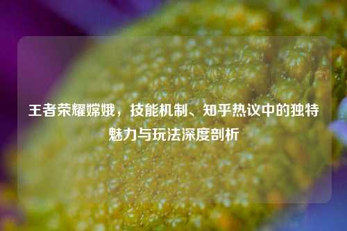 王者荣耀嫦娥,技能机制、知乎热议中的独特魅力与玩法深度剖析