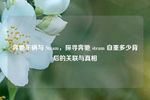奔驰车辆与 Steam,探寻奔驰 steam 自重多少背后的关联与真相