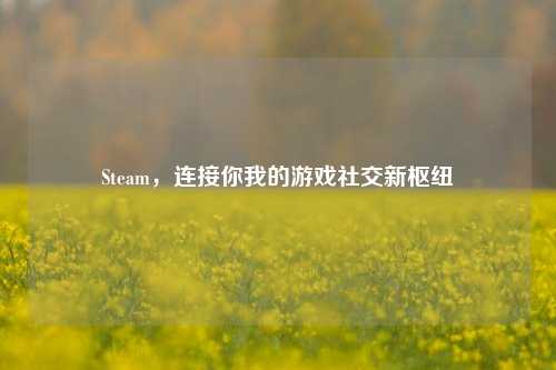 Steam,连接你我的游戏社交新枢纽