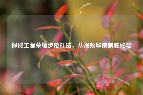 探秘王者荣耀步枪打法,从视频解锁制胜秘籍