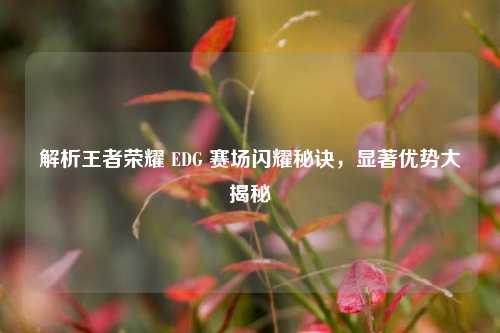 解析王者荣耀 EDG 赛场闪耀秘诀,显著优势大揭秘