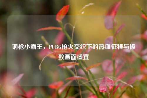 钢枪小霸王,PUBG枪火交织下的热血征程与极致画面盛宴