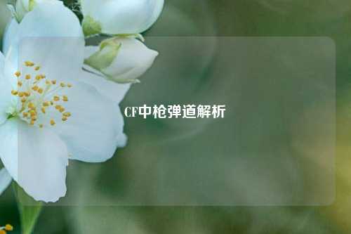 CF中枪弹道解析