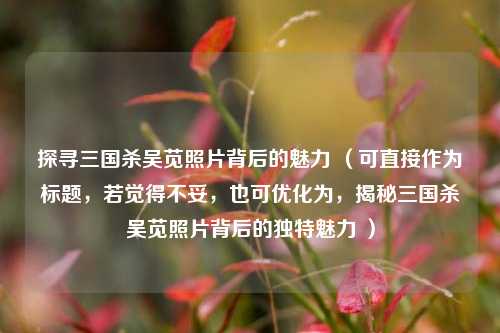 探寻三国杀吴苋照片背后的魅力 (可直接作为标题,若觉得不妥,也可优化为,揭秘三国杀吴苋照片背后的独特魅力 )