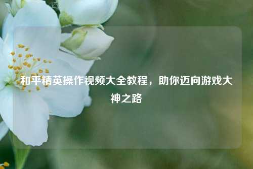 和平精英操作视频大全教程,助你迈向游戏大神之路