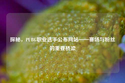探秘,PUBG职业选手公布网站——赛场与粉丝的重要桥梁