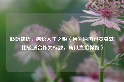 聆听劫语,感悟人生之影(因为原内容本身就比较适合作为标题,所以直接保留)