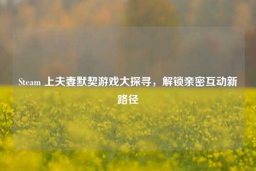 Steam 上夫妻默契游戏大探寻,解锁亲密互动新路径