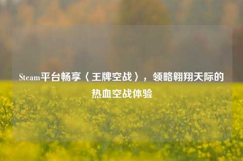 Steam平台畅享〈王牌空战〉,领略翱翔天际的热血空战体验
