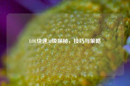 LOL快速30级探秘,技巧与策略
