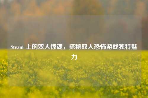 Steam 上的双人惊魂,探秘双人恐怖游戏独特魅力