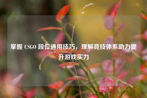 掌握 CSGO 段位通用技巧,理解竞技体系助力提升游戏实力