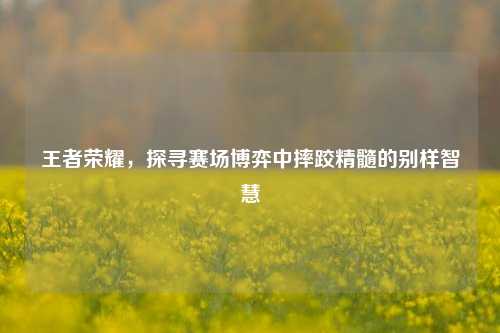 王者荣耀,探寻赛场博弈中摔跤精髓的别样智慧