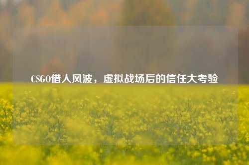 CSGO借人风波,虚拟战场后的信任大考验