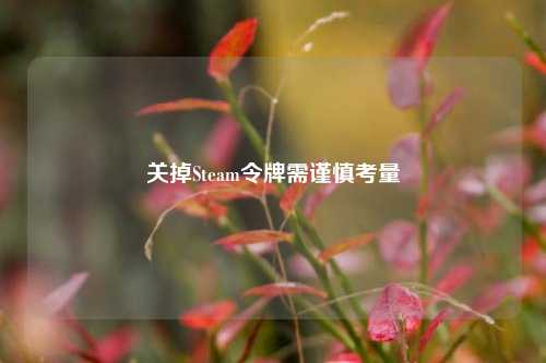 关掉Steam令牌需谨慎考量