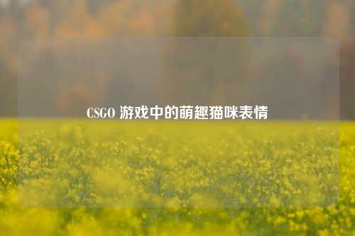 CSGO 游戏中的萌趣猫咪表情