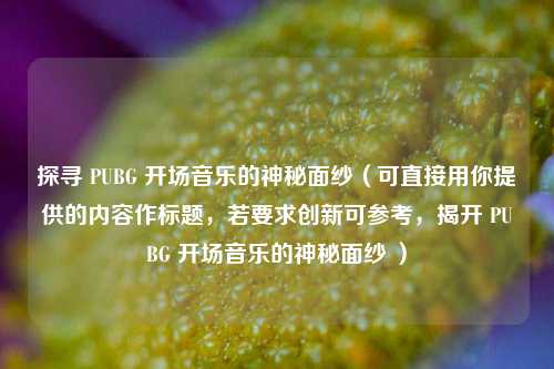 探寻 PUBG 开场音乐的神秘面纱(可直接用你提供的内容作标题,若要求创新可参考,揭开 PUBG 开场音乐的神秘面纱 )