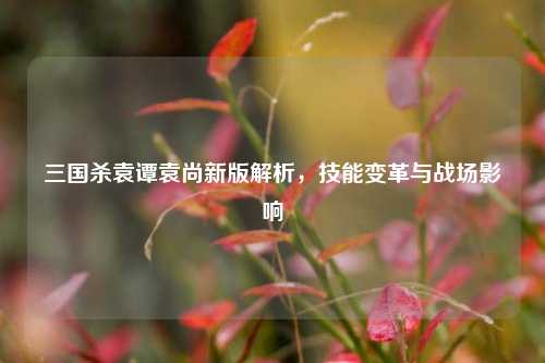 三国杀袁谭袁尚新版解析,技能变革与战场影响