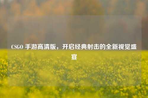 CSGO 手游高清版,开启经典射击的全新视觉盛宴