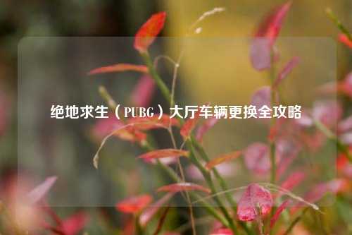 绝地求生(PUBG)大厅车辆更换全攻略