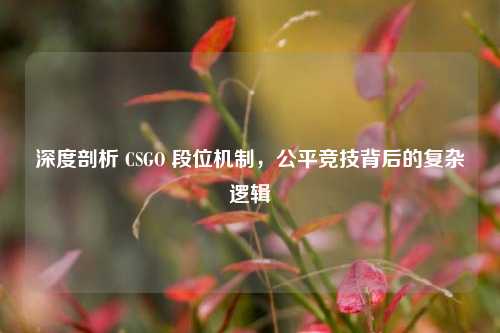 深度剖析 CSGO 段位机制,公平竞技背后的复杂逻辑