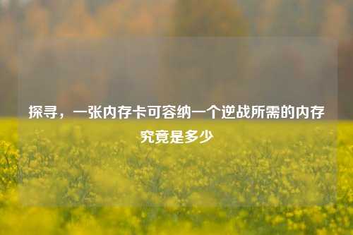探寻,一张内存卡可容纳一个逆战所需的内存究竟是多少