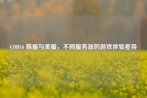 COD16 韩服与美服,不同服务器的游戏体验差异