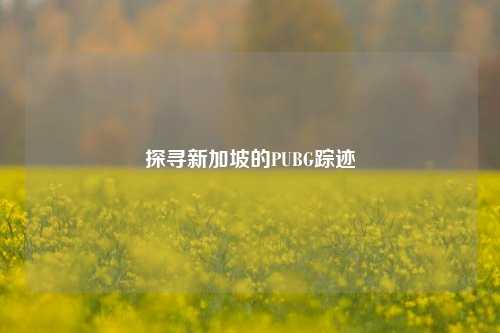 探寻新加坡的PUBG踪迹
