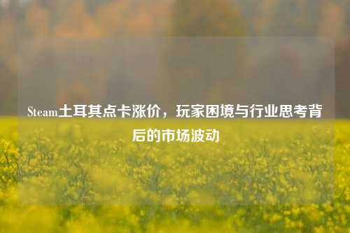 Steam土耳其点卡涨价,玩家困境与行业思考背后的市场波动