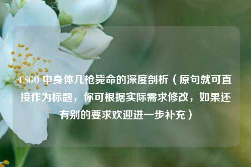 CSGO 中身体几枪毙命的深度剖析(原句就可直接作为标题,你可根据实际需求修改,如果还有别的要求欢迎进一步补充)
