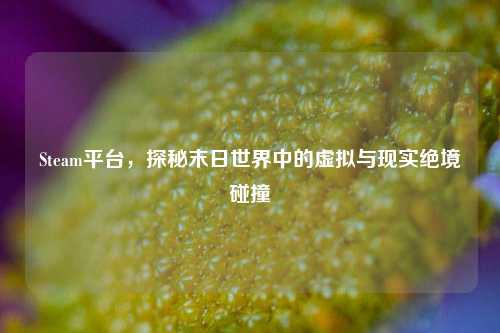 Steam平台,探秘末日世界中的虚拟与现实绝境碰撞