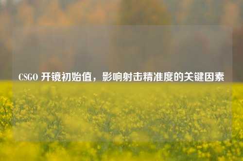 CSGO 开镜初始值,影响射击精准度的关键因素