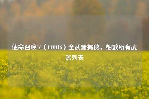 使命召唤16(COD16)全武器揭秘,细数所有武器列表