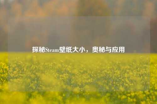 探秘Steam壁纸大小,奥秘与应用